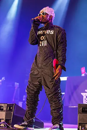 Andre 3000's Portrait