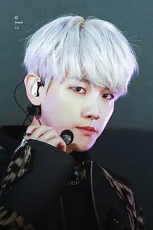 Baekhyun (Exo-K)'s Portrait