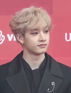 Bang Chan's Portrait