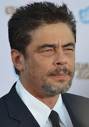 Benicio Del Toro's Portrait