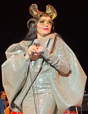 Bjork's Portrait