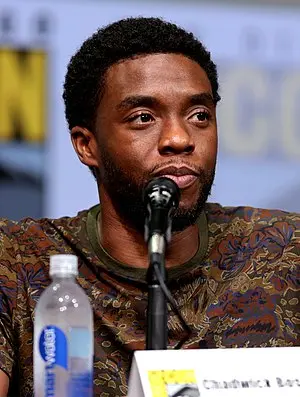 Chadwick Boseman's Portrait