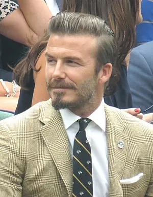 David Beckham's Portrait