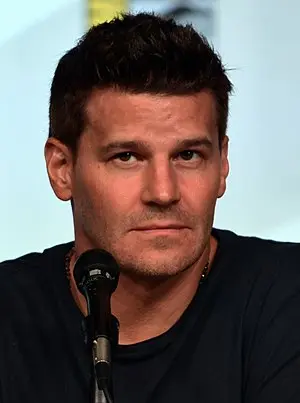 David Boreanaz's Portrait