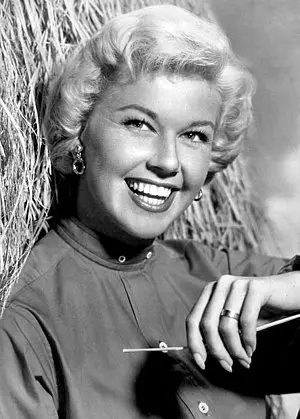 Doris Day's Portrait