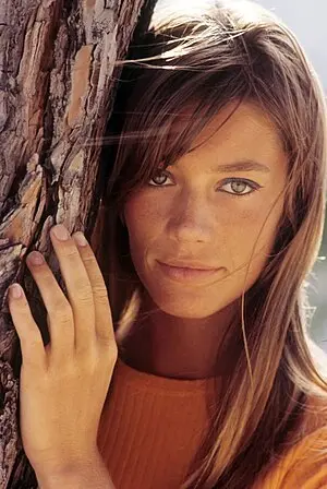 Francoise Hardy's Portrait