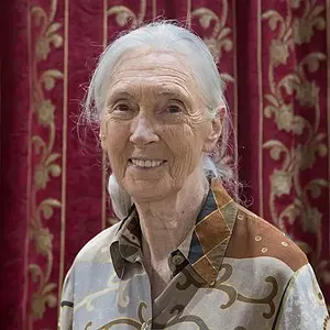 Jane Goodall's Portrait