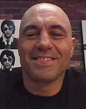 Joe Rogan's Portrait