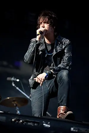 Julian Casablancas's Portrait