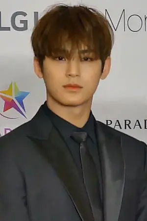 Mingyu's Portrait