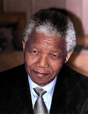 Nelson Mandela's Portrait