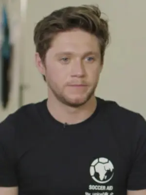 Niall Horan's Portrait