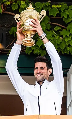 Novak Djokovic's Portrait