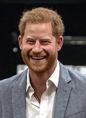 Prince Harry, Duke of Sussex's Portrait