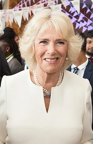 Queen Camilla's Portrait