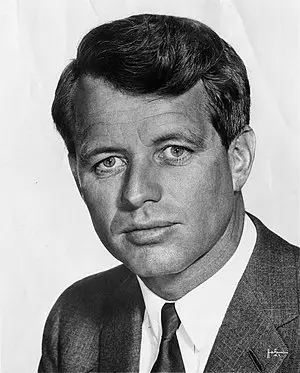 Robert F. Kennedy's Portrait