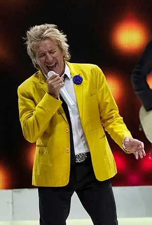 Rod Stewart's Portrait