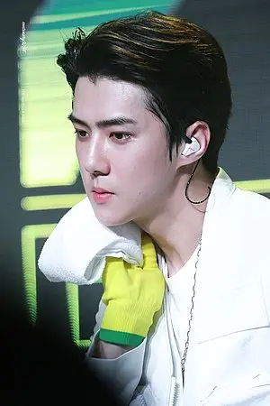 Sehun (Exo-K)'s Portrait