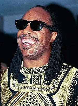 Stevie Wonder's Portrait