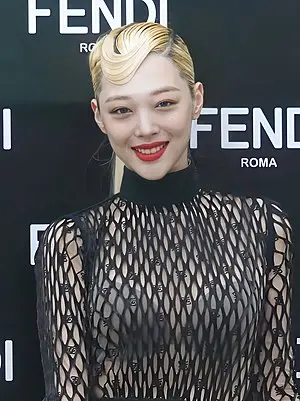 Sulli's Portrait