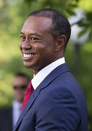 Tiger Woods's Portrait