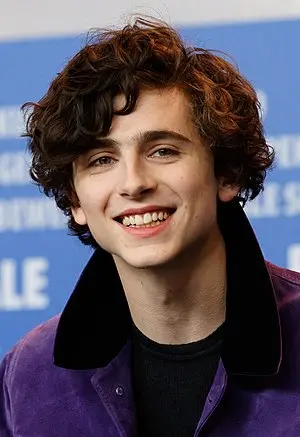 Timothee Chalamet's Portrait