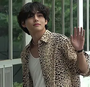 V (entertainer)'s Portrait