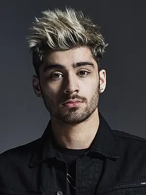 Zayn Malik's Portrait