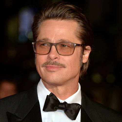 Brad Pitt's Portrait