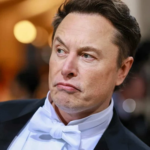 Elon Musk's Portrait
