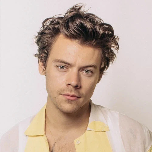 Harry Styles's Portrait