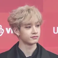 Bang Chan portrait