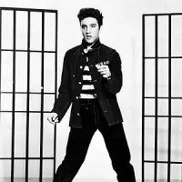 Elvis Presley portrait