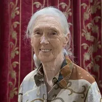 Jane Goodall portrait