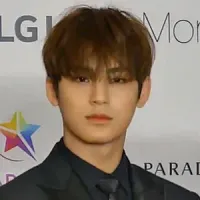 Mingyu portrait