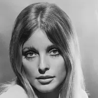 Sharon Tate portrait