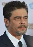 Benicio Del Toro portrait