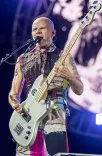 Flea (musician) portrait