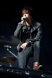Julian Casablancas portrait