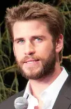 Liam Hemsworth portrait