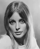 Sharon Tate portrait