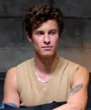Shawn Mendes portrait